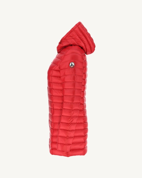 Kapüşonlu Ceket Rouge Nour Jott