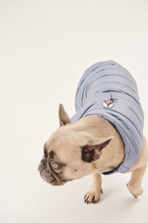 Mavi Delave Köpekler Aşağı Ceket Woop Jott