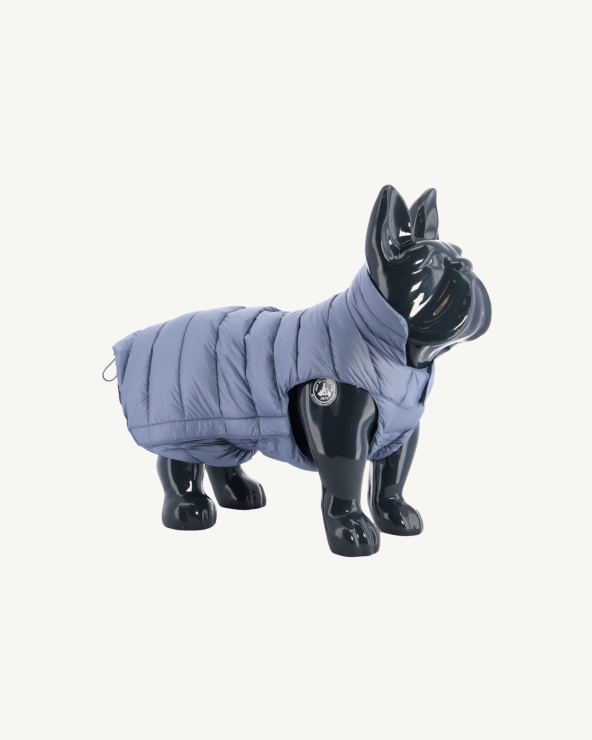 Mavi Delave Köpekler Aşağı Ceket Woop Jott