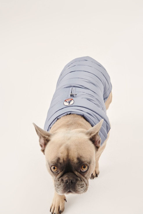 Mavi Delave Köpekler Aşağı Ceket Woop Jott