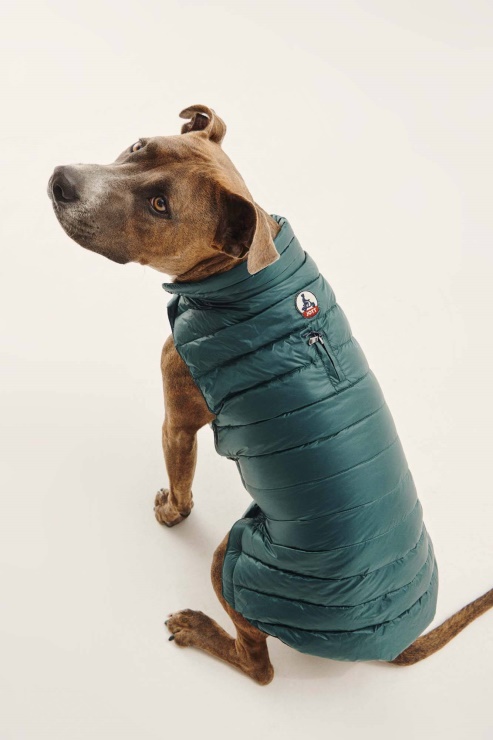 Jott Vert Fonce Köpekler Aşağı Ceket Woop