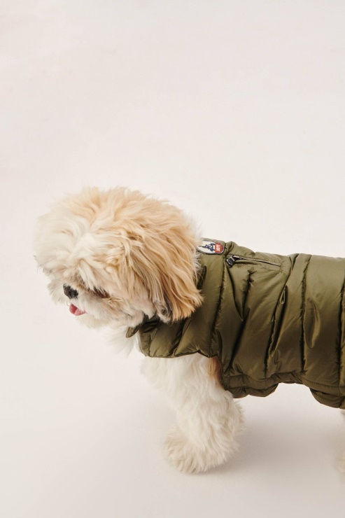 Ordu Köpekleri Aşağı Ceket Woop Jott
