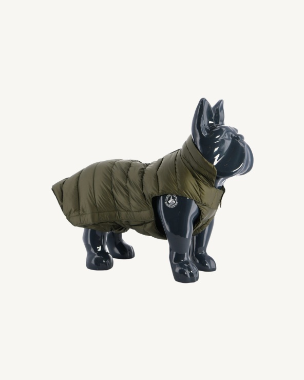 Ordu Köpekleri Aşağı Ceket Woop Jott