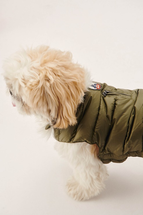 Ordu Köpekleri Aşağı Ceket Woop Jott