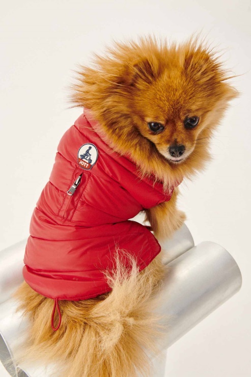 Jott Rouge Köpekler Aşağı Ceket Woop