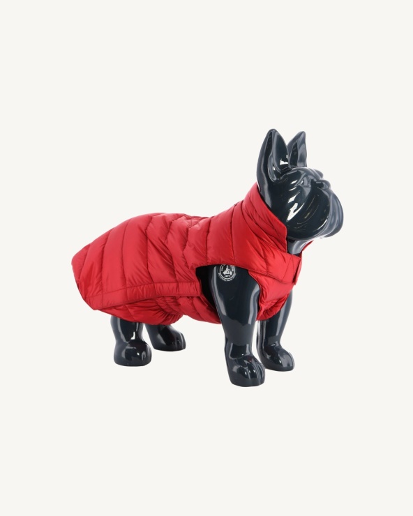 Jott Rouge Köpekler Aşağı Ceket Woop