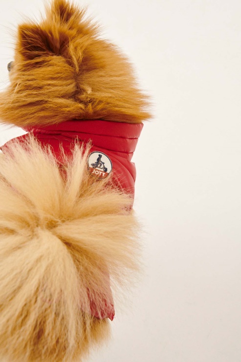 Jott Rouge Köpekler Aşağı Ceket Woop
