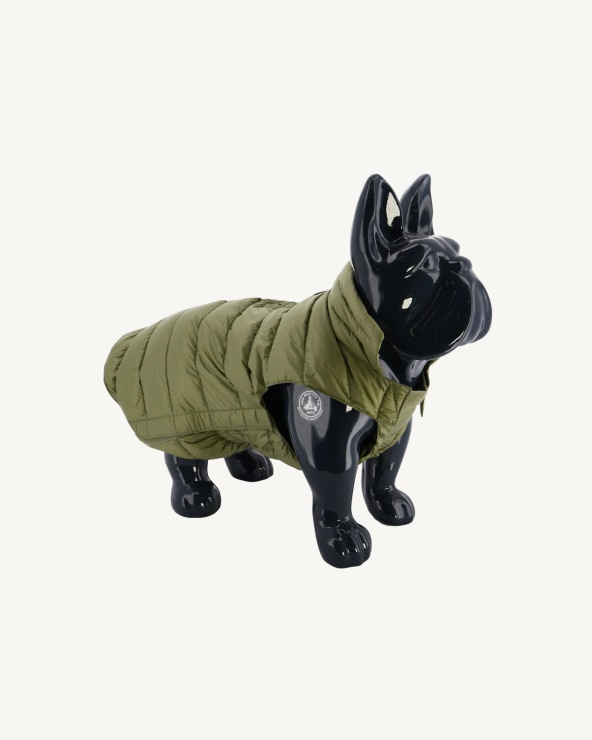 çalı Köpekleri Aşağı Ceket Woop Jott