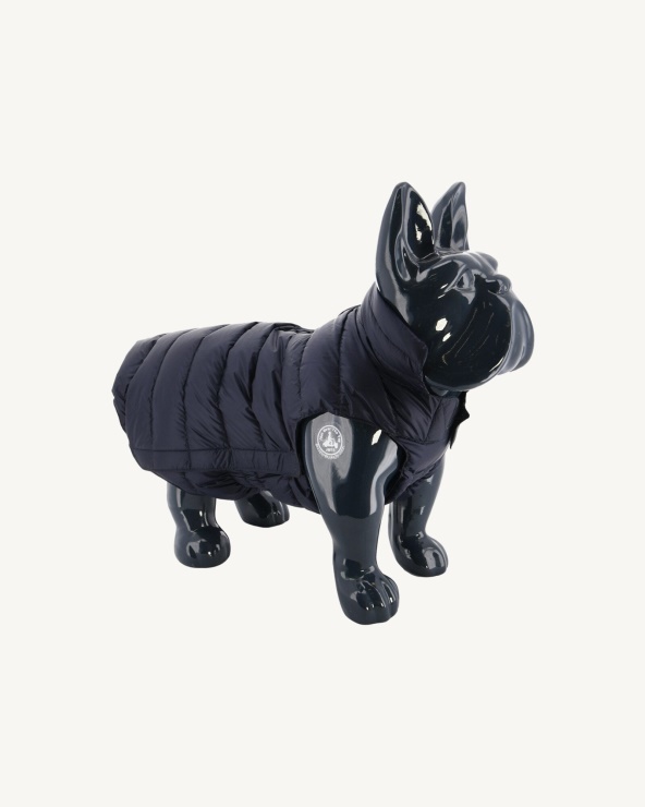 Jott Lacivert Köpekler Aşağı Ceket Woop