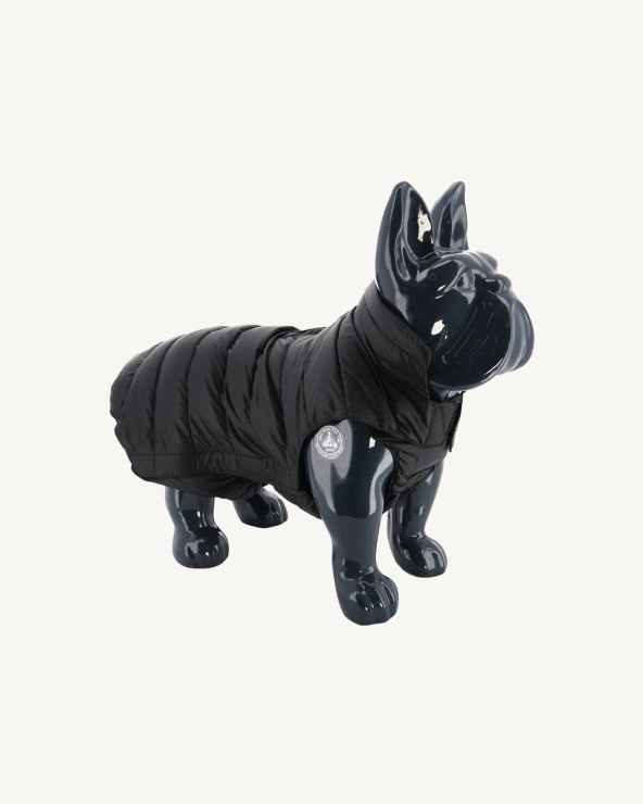 Siyah Köpekler Aşağı Ceket Woop Jott