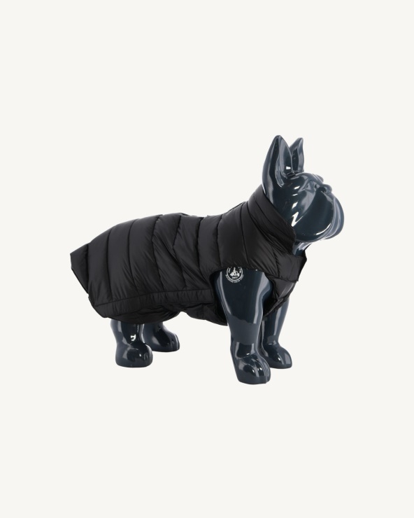 Siyah Köpekler Aşağı Ceket Woop Jott