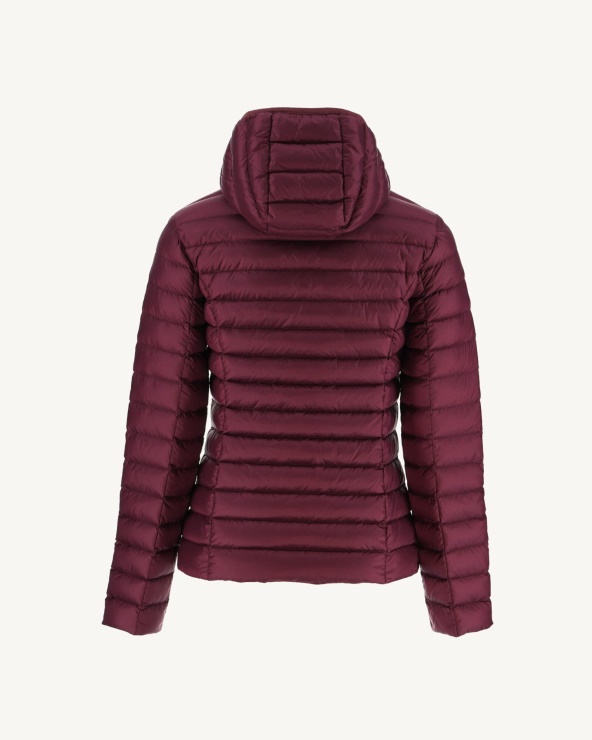 Hafif Kapüşonlu Ceket Jott Aubergine Cloe